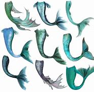 Image result for Fish Tail Cartoon