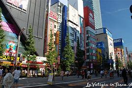 Image result for Quartiere Di Akihabara