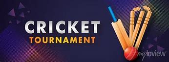 Image result for Cricket YouTube Banner