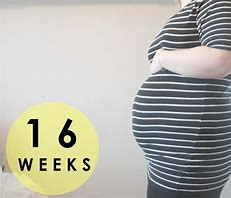 Image result for 16 Weeks Pregnant Baby Bump