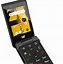 Image result for Screen Protector Cat S22 Flip Phone