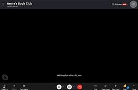 Image result for Empty Skype Call Screen