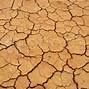 Image result for Dry Land