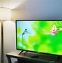 Image result for 24 Inch TCL Roku TV