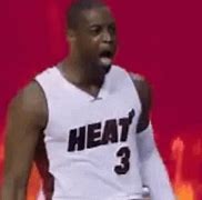 Image result for Miami Heat Stands