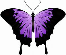 clipart pictures purple butterfly decorative transparent image gallery clipart pictures purple butterfly decorative transparent image gallery