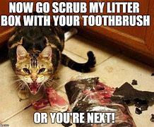 Image result for Cat Litter Box Meme