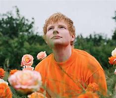 Image result for Ed Sheeran Irish