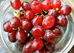 Image result for Hydroponic Grapes