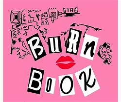 Image result for Mean Girls Burn Book Back