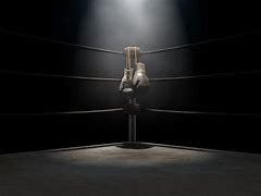 Image result for MMA Boxing Ring