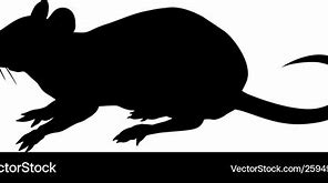 Image result for Rat Silhouette