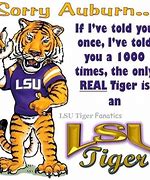 Image result for LSU Tiger Football Meme