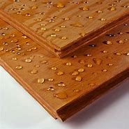 Image result for Treated Plywood