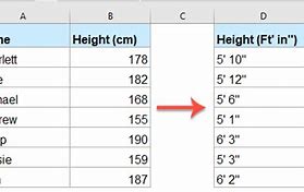 Image result for One Meter and 90 Centimeters in Feet