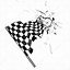 Image result for Checkered Flag Coloring Page