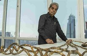 Image result for The World's Longest Fingernails