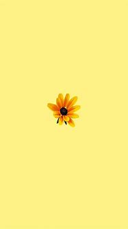 Image result for Pastel Yellow Aesthetic Images