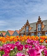 Image result for holland tulips festival