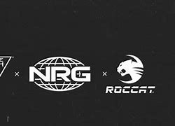 Image result for NRG Clan Logo