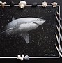 Image result for Great White Shark Art Print