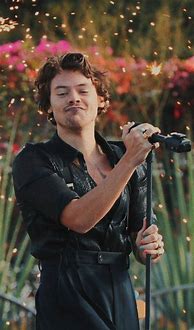 Image result for Harry Styles Best Pictures