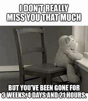Image result for Miss You Already Meme
