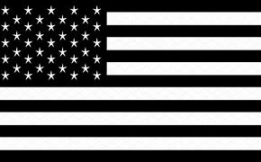 Image result for USA Flag Vector Black and White