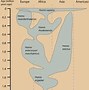 Image result for Family Hominid Tree Human Evolution