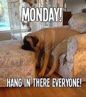 Image result for Monday Hang in There