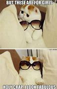 Image result for Cat Saying Sorry