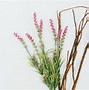 Image result for Minimalist Flower Desktop Wallpaper