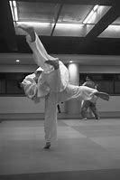 Image result for Korean Judo