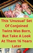 Image result for Identical Twins Meme