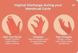 Image result for Chlamydia Trachomatis Symptoms