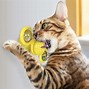 Image result for Mad Cat Catnip Toys