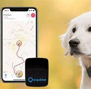 Image result for Verizon Pet GPS