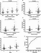 Image result for Tumor Size Measurement