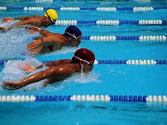 Image result for Swimming Sport