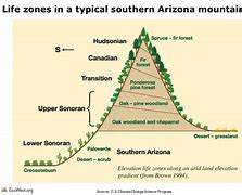 Image result for Arizona Mountains Temperate Zone