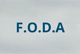 Image result for fodal