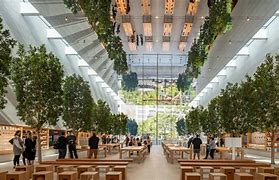 Image result for Apple Store Building Interior Ceiling