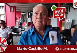 Image result for aguizote