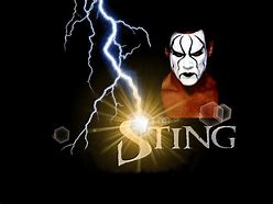 Image result for The Icon Sting
