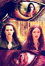 Image result for Twilight Breaking Dawn Part 2 Characters