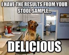 Image result for Funny Dog Poop Memes