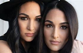 Image result for Beautiful Bella Twins