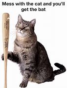 Image result for Cat with a Bat Meme