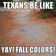 Image result for Beat Texas Meme