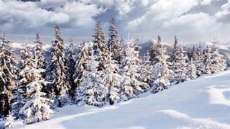 Image result for Holiday Winter 8K Wallpapers
